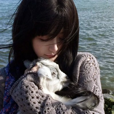 红楼梦第二部海报
